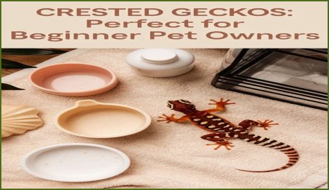 Is Crested Butte good for beginners?